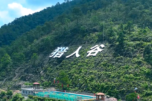 fundición de válvula de compuerta